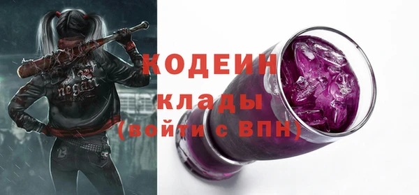 мдпв Богородицк