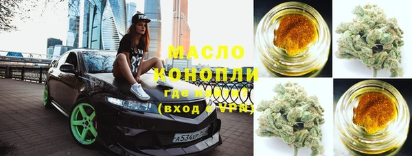 мдпв Богородицк