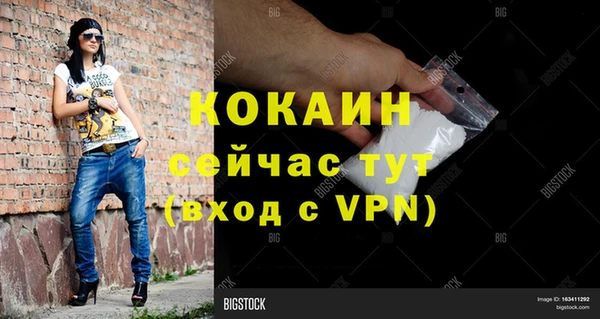 твердый Богородск
