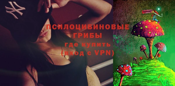 твердый Богородск